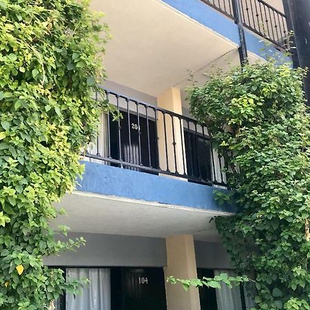 Hotel Nuevo Vallarta 萨波潘 外观 照片